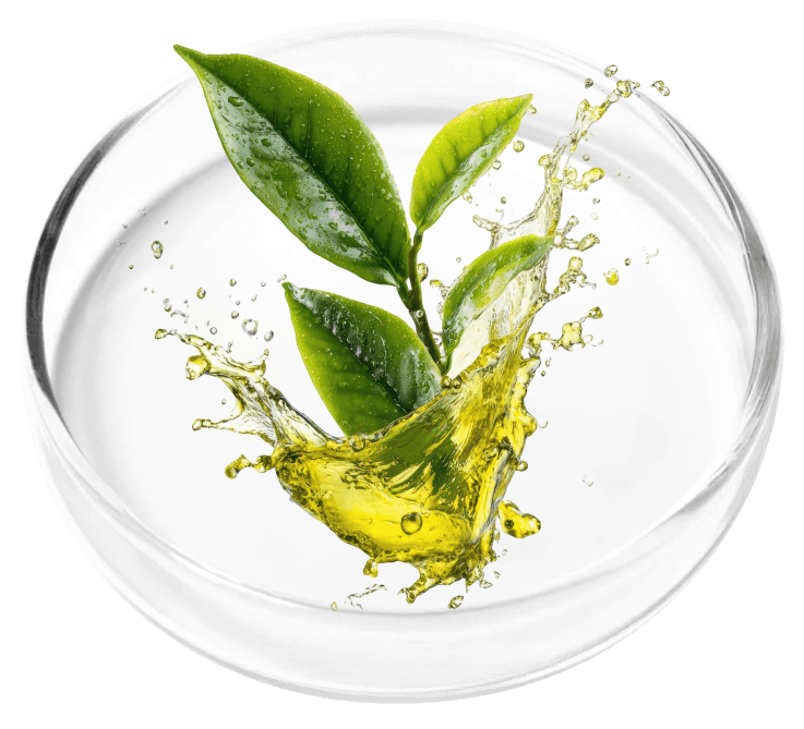 Tea Tree Oil